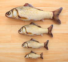 Load image into Gallery viewer, Plush Catnip Fish Toy for Cat