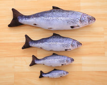 Load image into Gallery viewer, Plush Catnip Fish Toy for Cat