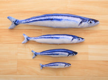 Load image into Gallery viewer, Plush Catnip Fish Toy for Cat