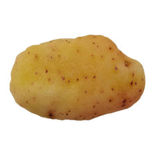 Load image into Gallery viewer, Anti Bite Dog Toys