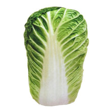 Load image into Gallery viewer, Anti Bite Dog Toys