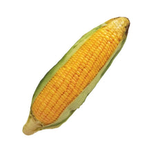 Load image into Gallery viewer, Anti Bite Dog Toys