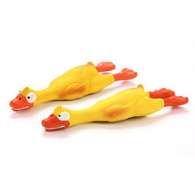Load image into Gallery viewer, Rubber Chicken Toy For Dogs